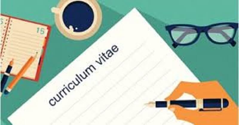 Sắp xếp các mục nội dung chính trong CV tiếng Anh cho sinh viên sao cho hợp lý