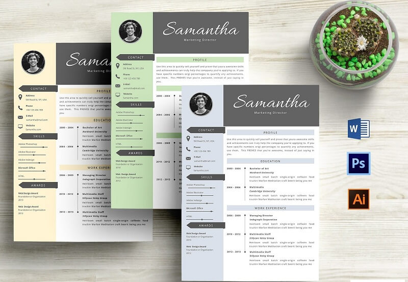 Cách viết kinh nghiệm làm việc trong CV tiếng Anh