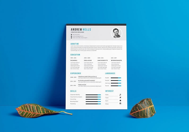 Vài nét về CV kế toán tổng hợp