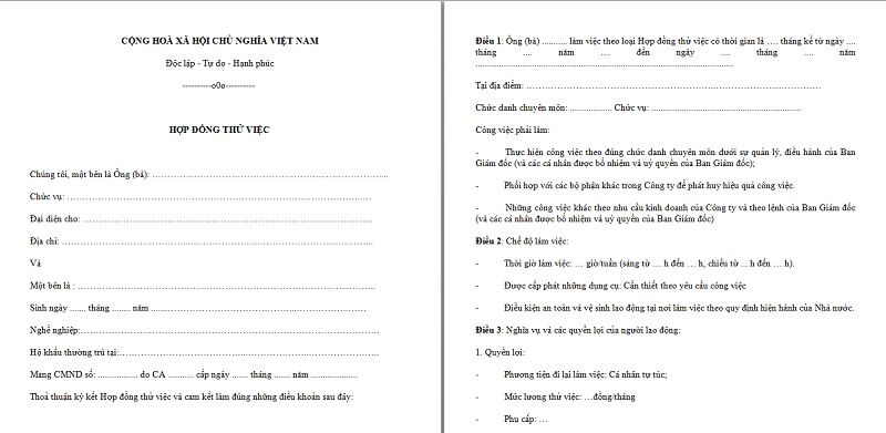 Download Mẫu hợp đồng thử việc mới nhất 