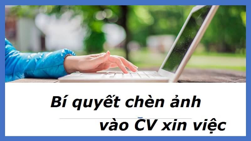 Cách chèn ảnh vào CV xin việc cuốn hút nhà tuyển dụng